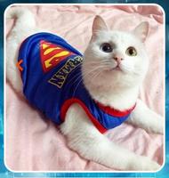 고양이 옷 스크린샷 2