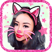 Filtre Chat Pour Photos