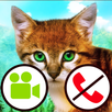 دعوة وهمية فيديو لعبة القط APK