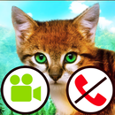 video panggilan palsu kucing permainan APK