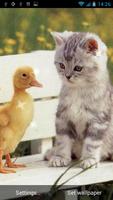 고양이 라이브 배경 화면 스크린샷 2