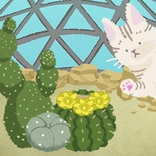 サボテン愛好会：30種類以上のサボテンを栽培できるシミュレー