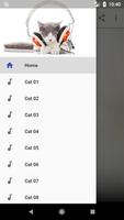 Cat Sounds ポスター