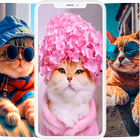 Cat Wallpapers & Cute Kittens आइकन