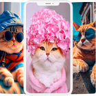 Cat Wallpapers & Cute Kittens icon