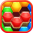 hexa puzzle : brick connect