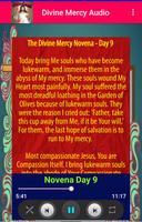 Divine Mercy Novena & Chaplet Screenshot 3