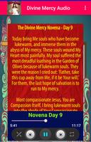 Divine Mercy Novena & Chaplet capture d'écran 3