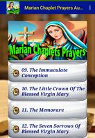 Marian Chaplet Prayers Audio Screenshot 3