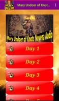 Mary Undoer Knots Novena Audio imagem de tela 2