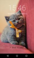 Cute Cat Lock Screen Passcode, gönderen