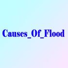 ikon Causes_Of_Flood