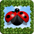 LadyBug Shooter X