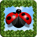 LadyBug Shooter X APK