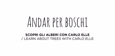 Andar Per Boschi
