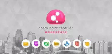 Check Point Capsule Workspace