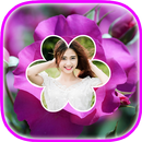 Rose Flower Frame APK