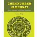 6 number ki Mehnat (Urdu in Roman Script) ikon