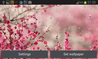 Cherry Blossom Live Wallapper screenshot 3