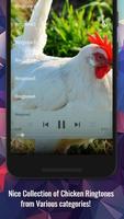 Chicken Ringtones screenshot 1