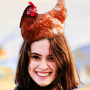 Chicken Filter Photo Editor-APK