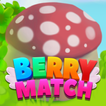 Berry Blast 2022 ikona