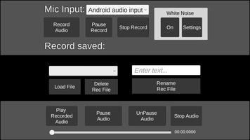 White Noise EVP Recorder পোস্টার