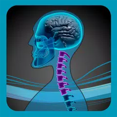 SpineEffects APK download