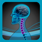 SpineEffects icono