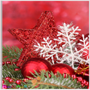 Christmas Ornaments New APK