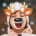 Christmas Photo Stickers icon