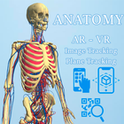 Anatomy AR - A view of the hum أيقونة