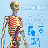 ikon Anatomy AR - A view of the hum