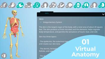 Anatomy AR - A view of the hum الملصق