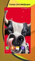 Funny Live Wallpaper syot layar 1