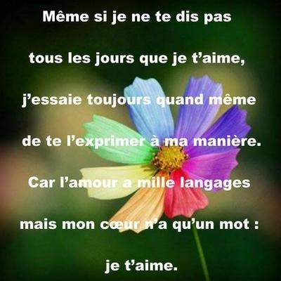 Avoir Images Phrases D Amour 2020 For Android Apk Download actualisé salutations