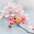 Sweet Connect icono