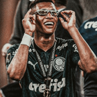 Stickers Palmeiras simgesi