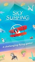 Sky Surfing poster