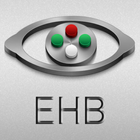 Eye Handbook icon