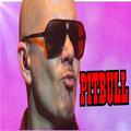 Pitbull Song