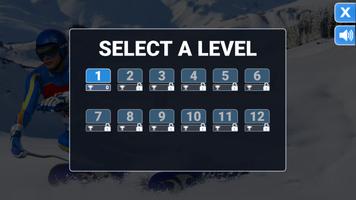 Downhill Ski اسکرین شاٹ 1