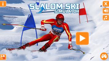Slalom Ski Simulator Poster