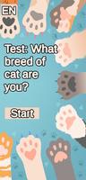 Test: What kind of cat are you poster