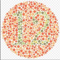 Colour Blindness Test скриншот 2