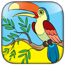 ColorFul - Livre de coloriage oiseaux APK