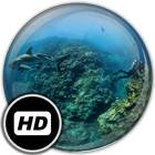 Panorama Wallpaper: Diving icône