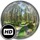 Panorama Wallpaper:ForestRoads aplikacja