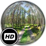 ikon Panorama Wallpaper:ForestRoads