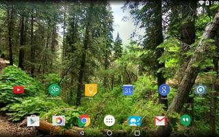 Panorama Wallpaper: Forest Affiche